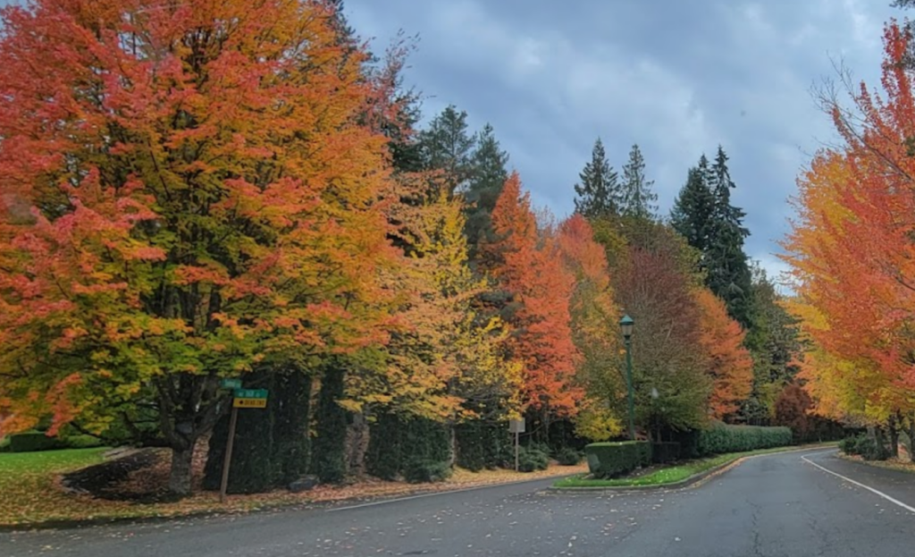 Woodinville Traffic Control Services National Barricade